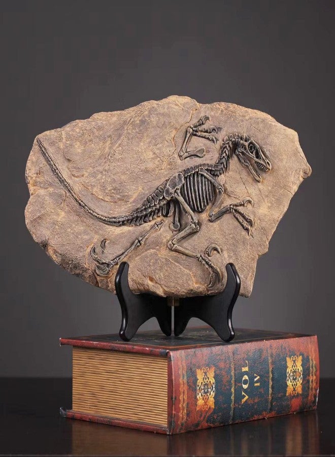 FUNSXBUG Resin Velociraptor Dinosaur Skeleton Fossil Statue Figurines Sculpture Collectibles Home Office Desktop Display Decoration (Dinosaur 1) - Image 1